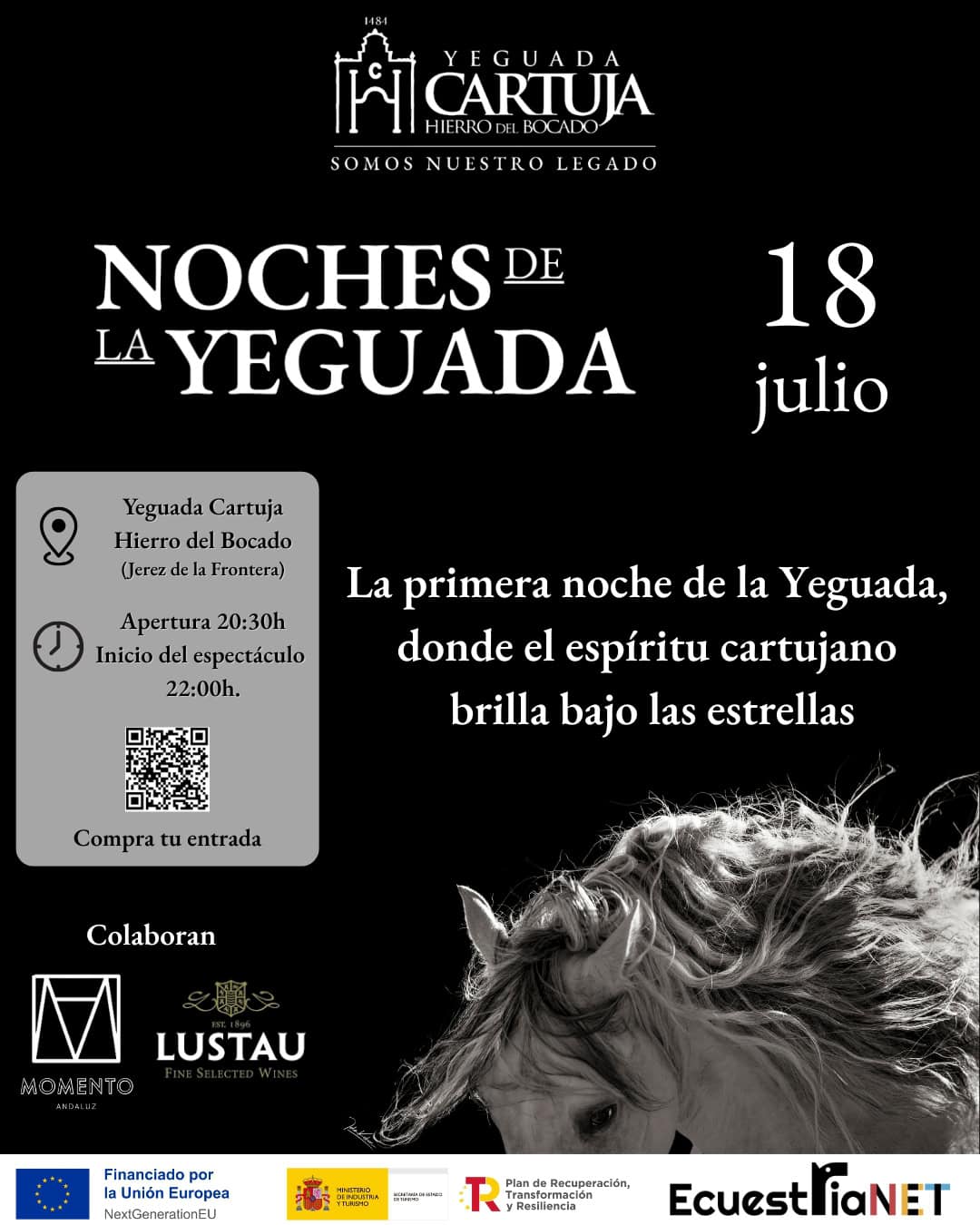 Cartel noches