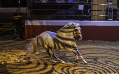 Noche de la Yeguada